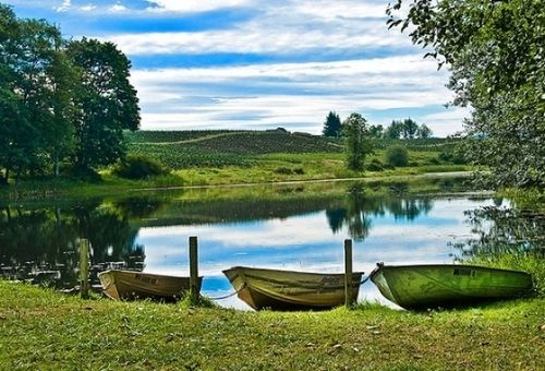 Paradise Rv Campground Silver Creek Dış mekan fotoğraf